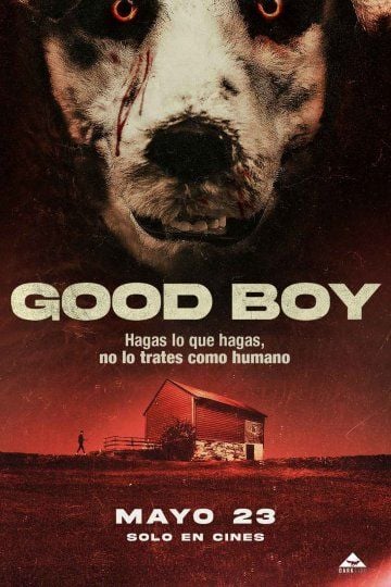 Good Boy : Póster