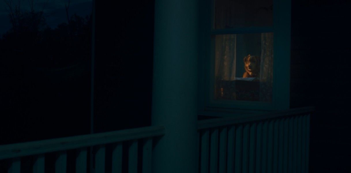 Good Boy: Confía en su instinto : Foto Indy (II) 