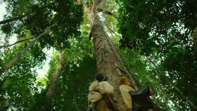 Amazon Adventure : Foto