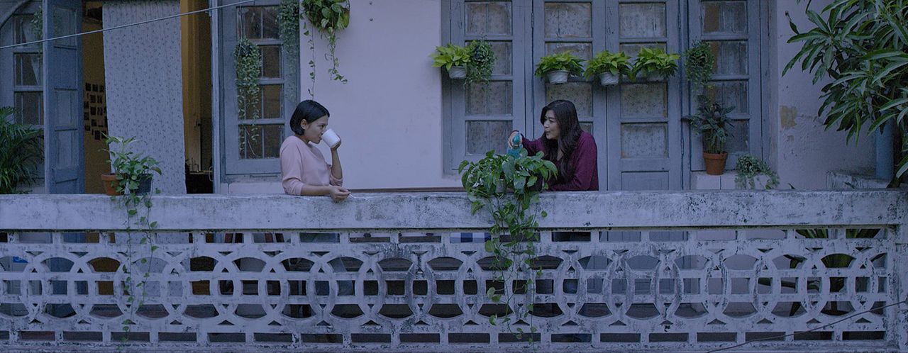 What Happened to the Wolf? : Foto