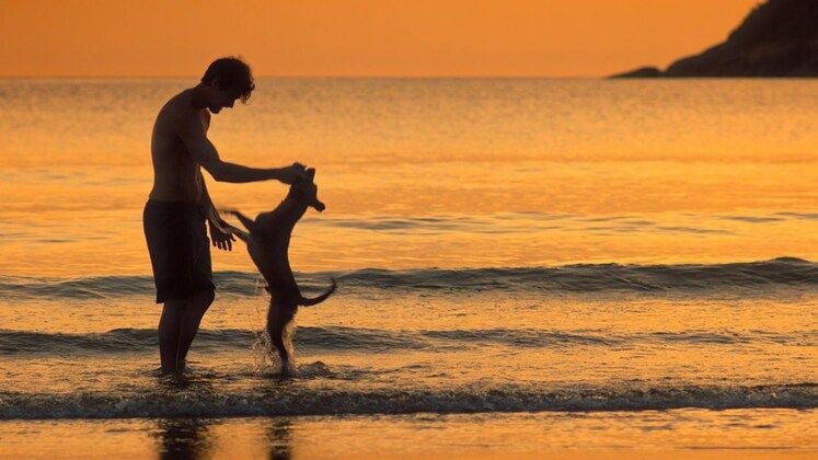 Caramelo : Foto Rafael Vitti