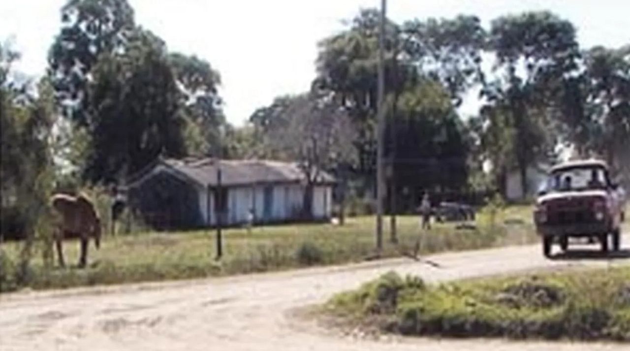 Regreso a Fortín Olmos : Foto