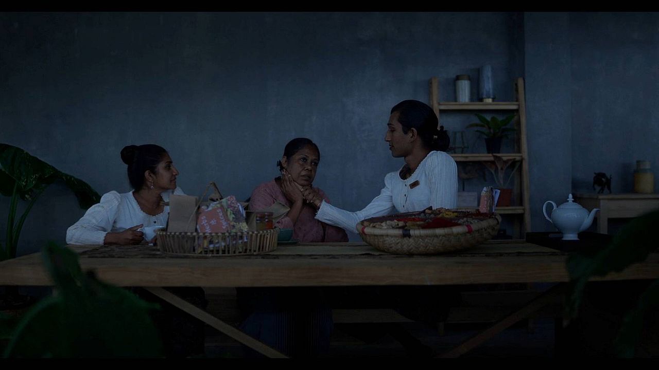 Turtle’s Gaze on Spying Stars : Foto