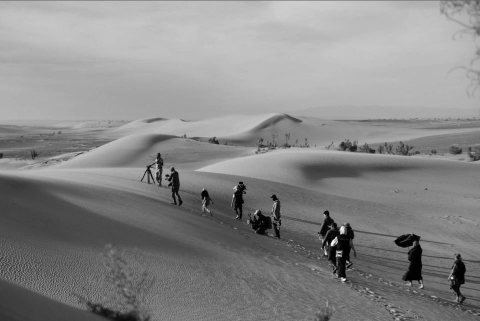 On the Way to South : Foto