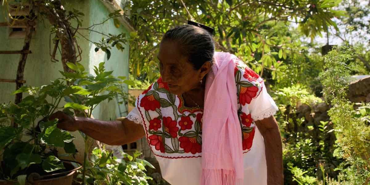 Sinahal, Señora de los Partos : Foto