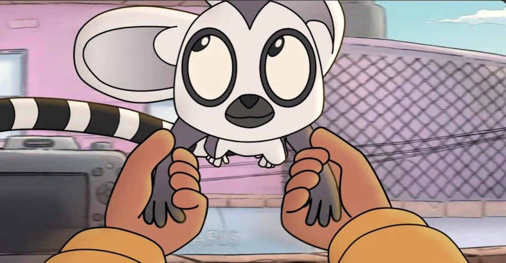 Bem, un lémur en fuga : Foto