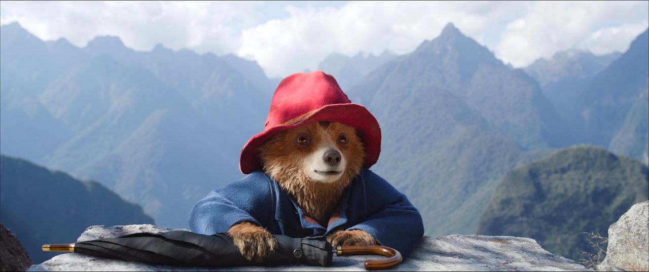 Paddington Aventura En La Selva : Foto