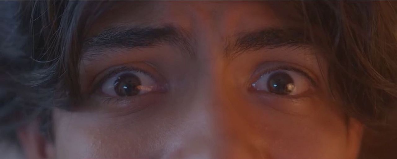 Langostas a domicilio : Foto