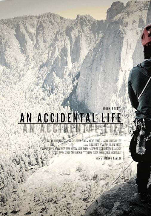 An Accidental Life : Póster