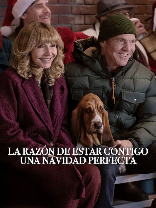 La razón de estar contigo: Una Navidad perfecta : Póster