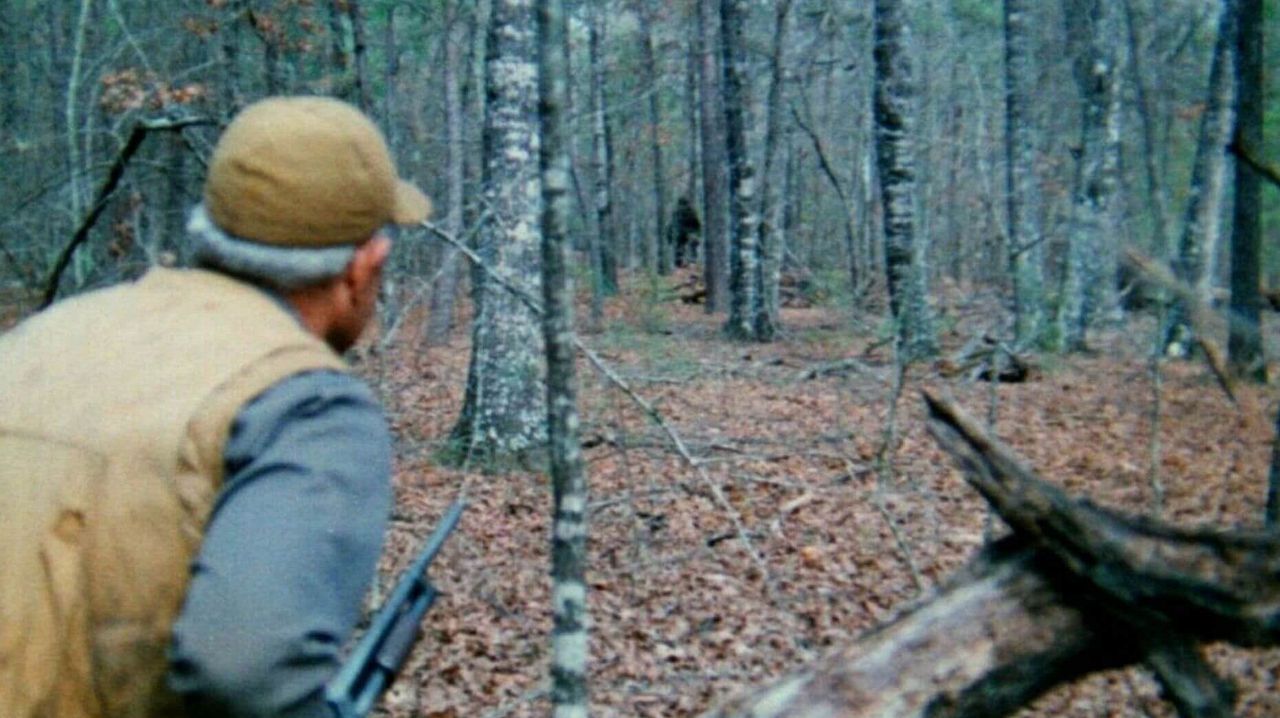 The Legend of Boggy Creek : Foto