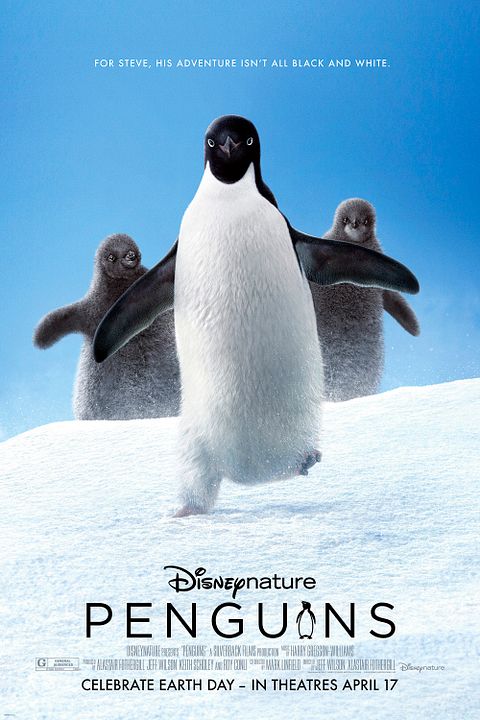 Pingüinos : Póster