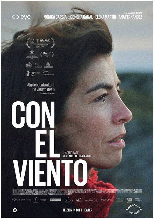 Con el viento : Póster