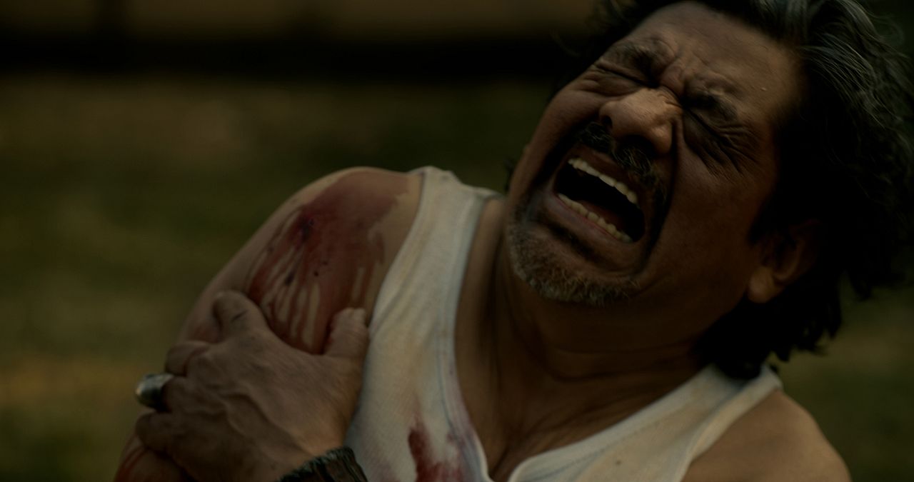 Halcones : Foto