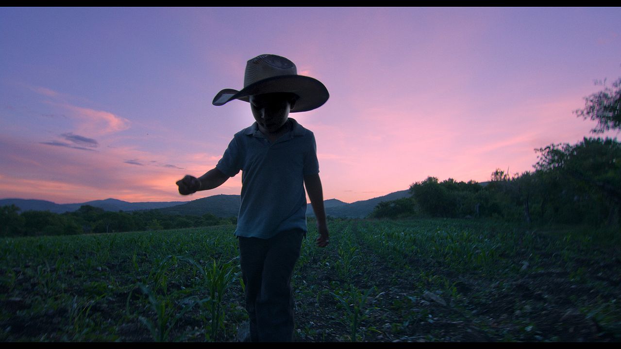 El tiempo de las luciérnagas : Foto