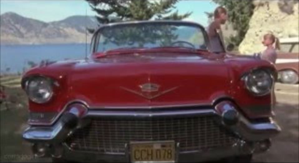 My American Cousin : Foto