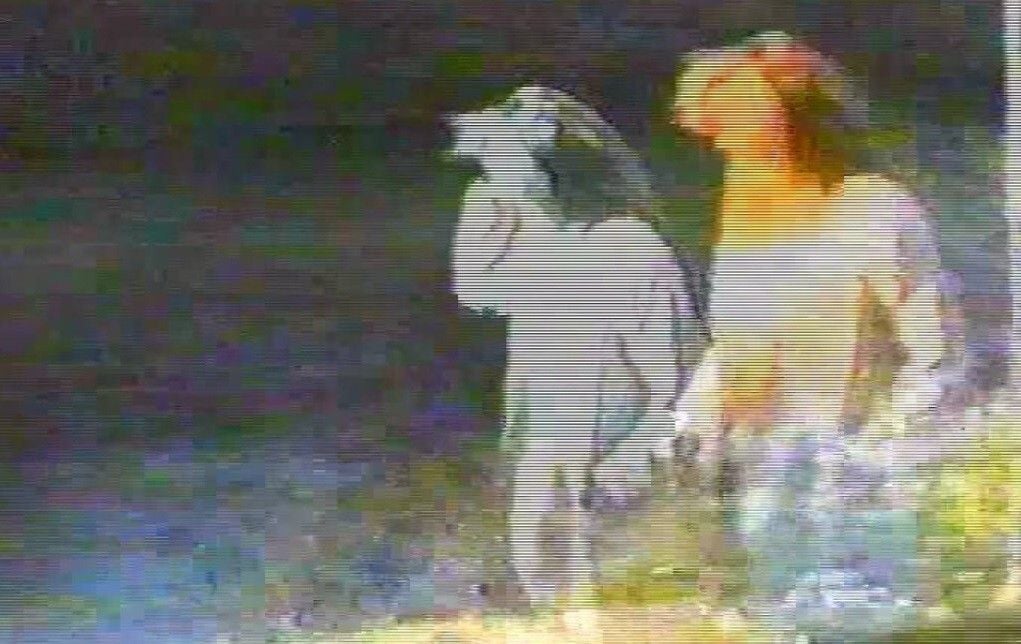 Šutnja Razuma : Foto