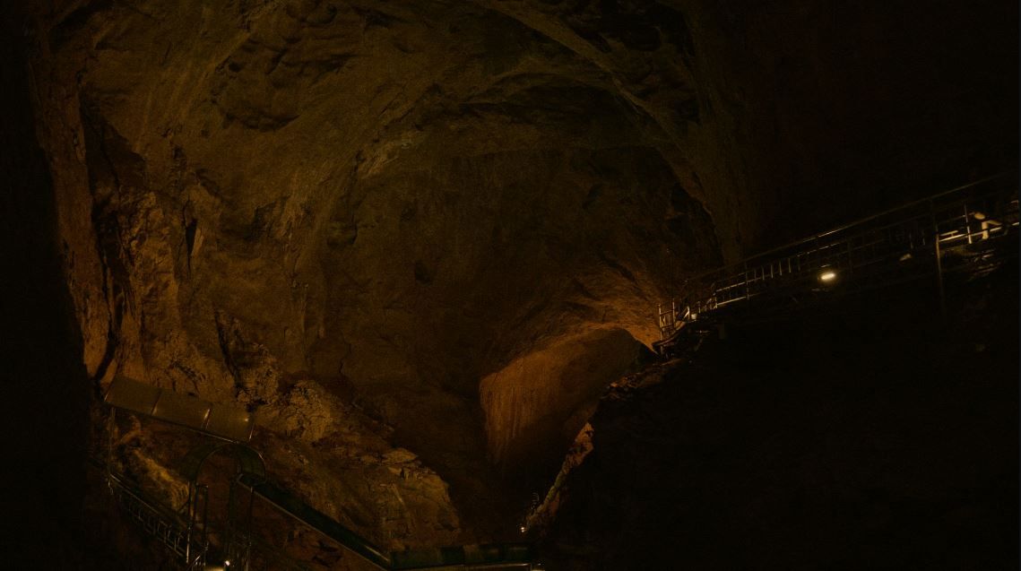 Every Single Dot : Foto