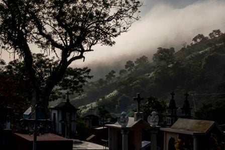 Hilando sones : Foto