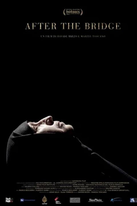 After the Bridge : Póster