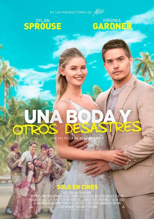 Una Boda y Otros Desastres : Póster