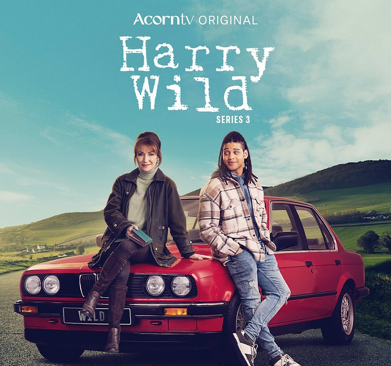 Harry Wild : Póster