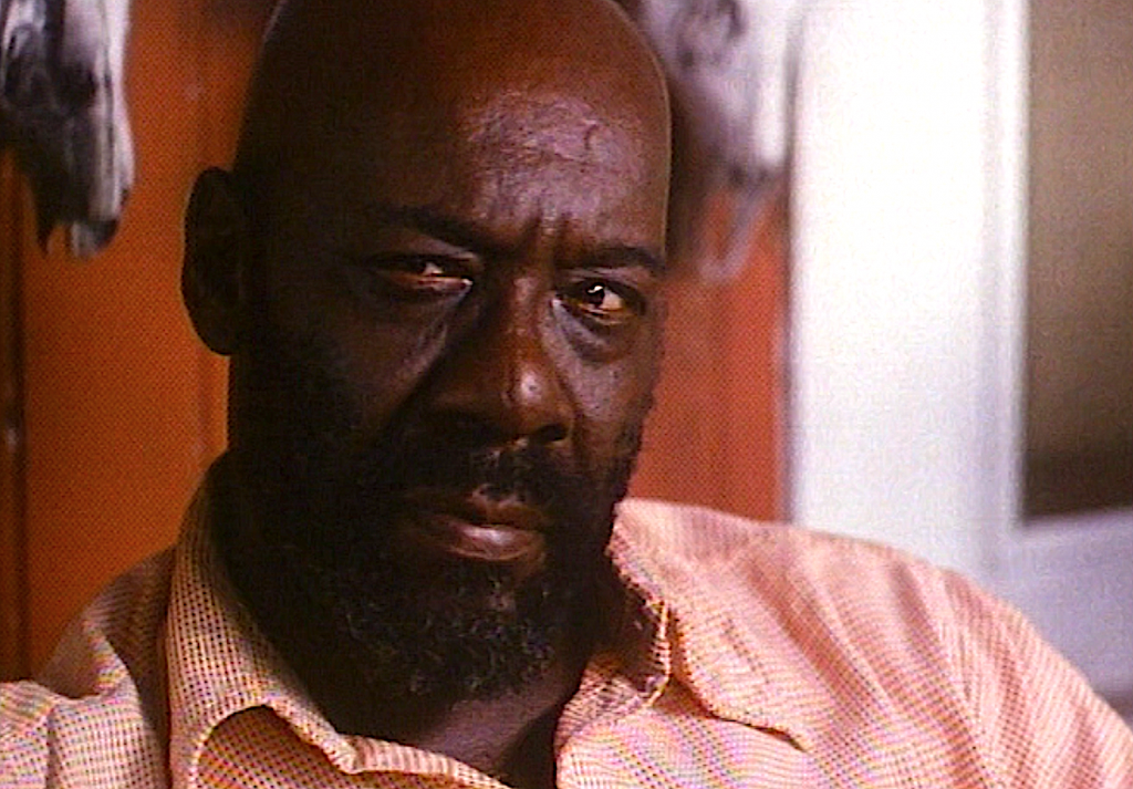 The Enchanted : Foto