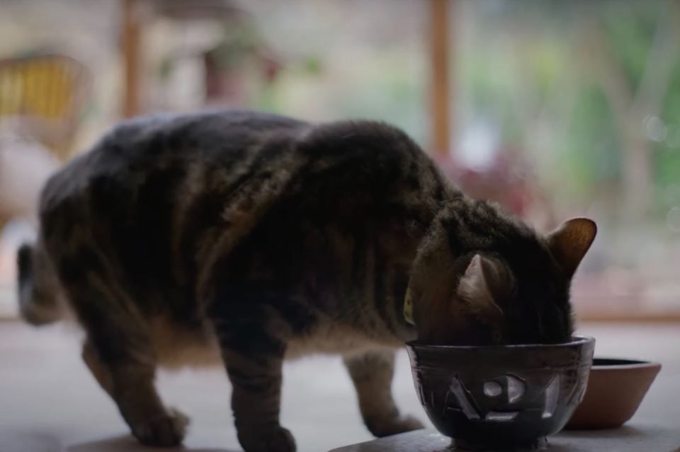 Haz Que Regrese : Foto