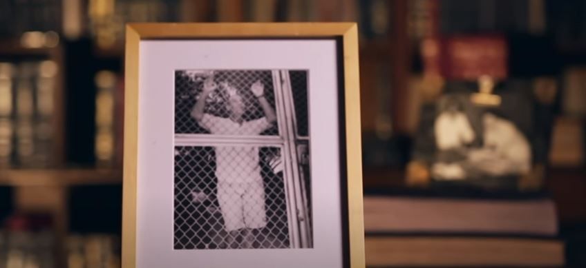 Busca por dentro : Foto