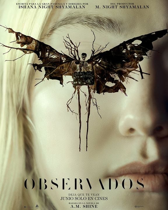 Observados : Póster