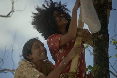 Turtle’s Gaze on Spying Stars : Foto