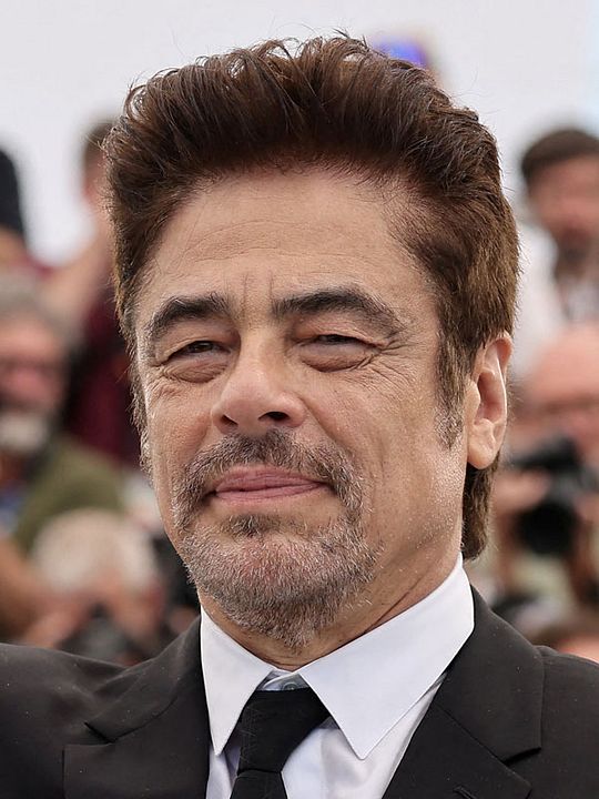 Póster Benicio Del Toro