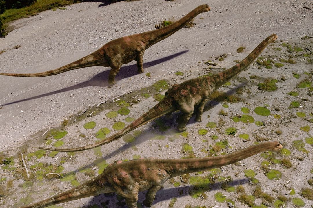 Dinosaurios de la Antártida : Foto