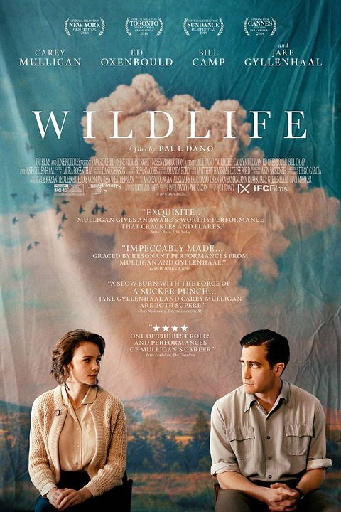 Wildlife : Póster