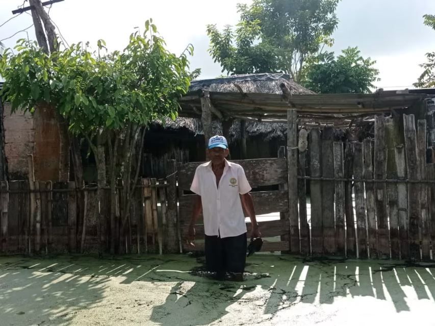 Positivo Negativo : Foto