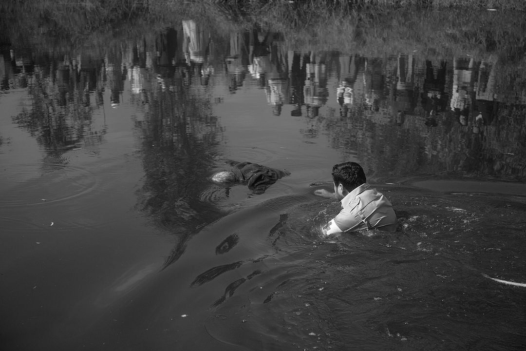 Ciudad de Muertos : Foto Jero Medina