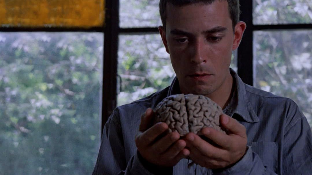 Hombre mirando al sudeste : Foto