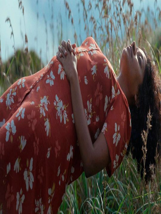 Turtle’s Gaze on Spying Stars : Póster