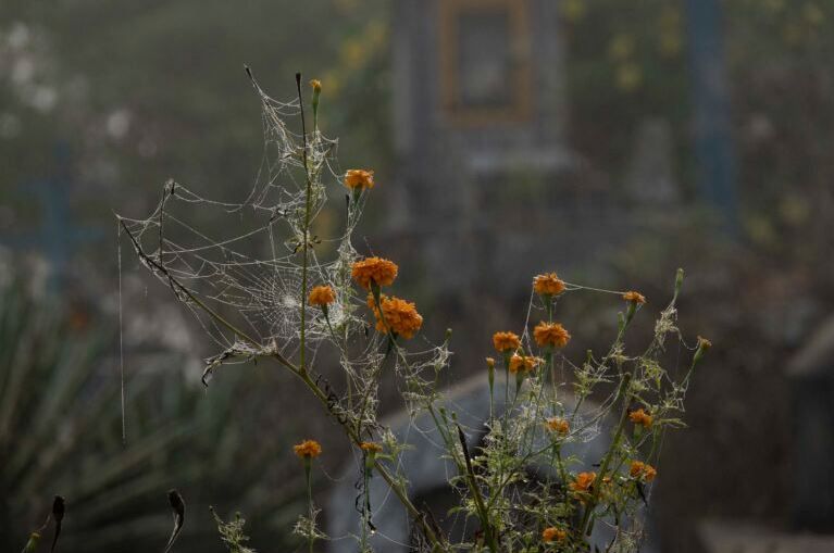 Hilando sones : Foto