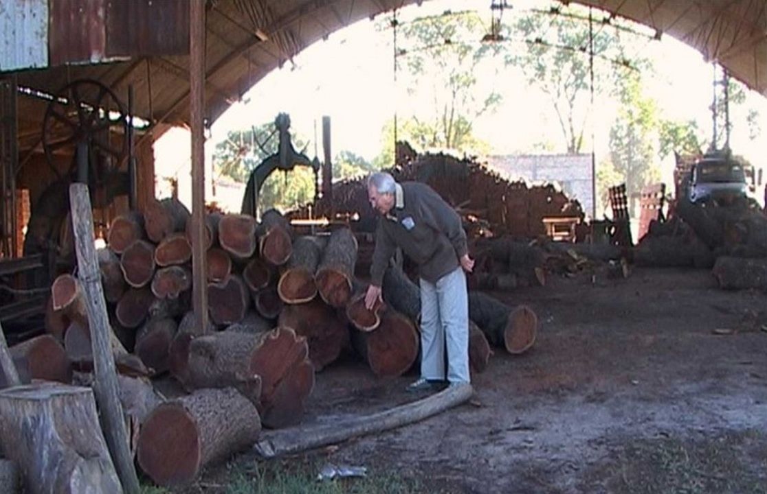 Regreso a Fortín Olmos : Foto