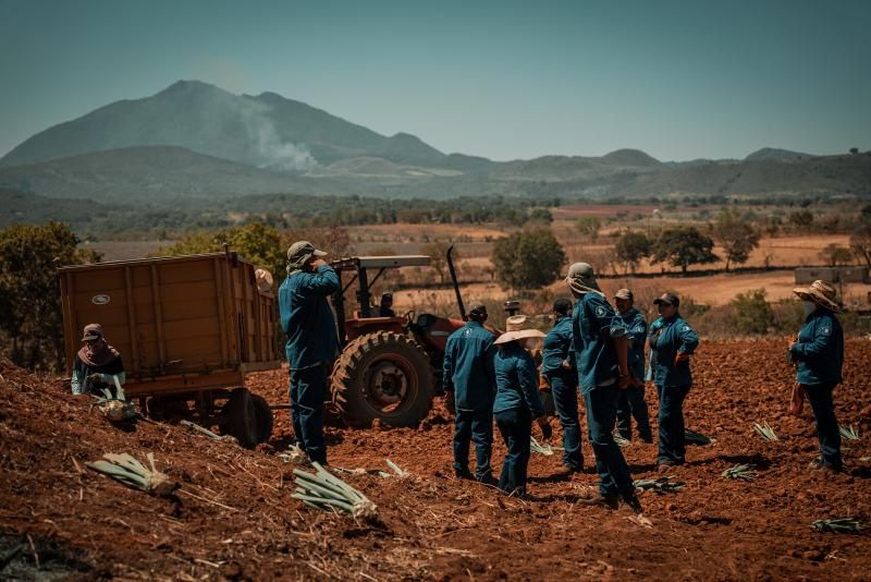 Las hijas del maguey : Foto