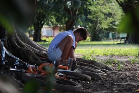 Perseverancia. Un ensayo documental sobre Tomás Sánchez : Foto