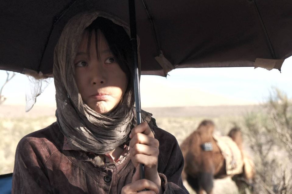 On the Way to South : Foto