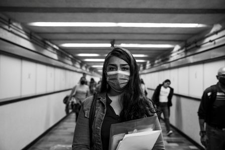 Arillo de hombre muerto : Foto