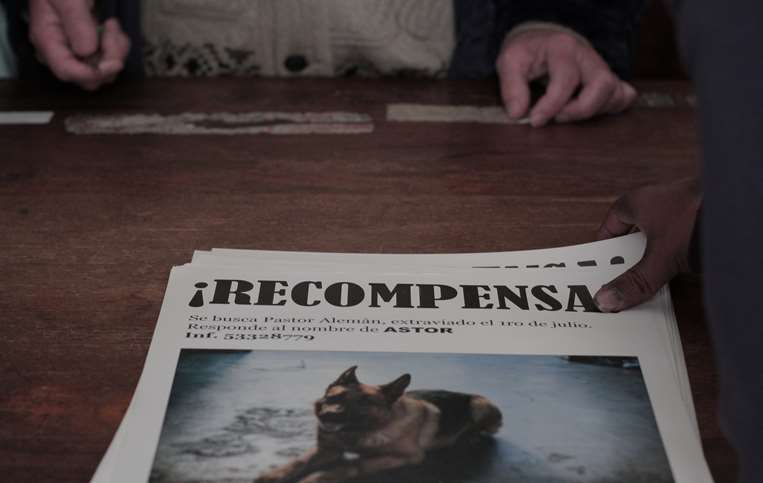 El ladrón de perros : Foto
