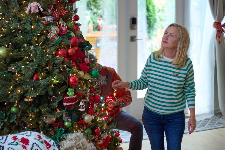 Confessions of a Christmas Letter : Foto Angela Kinsey