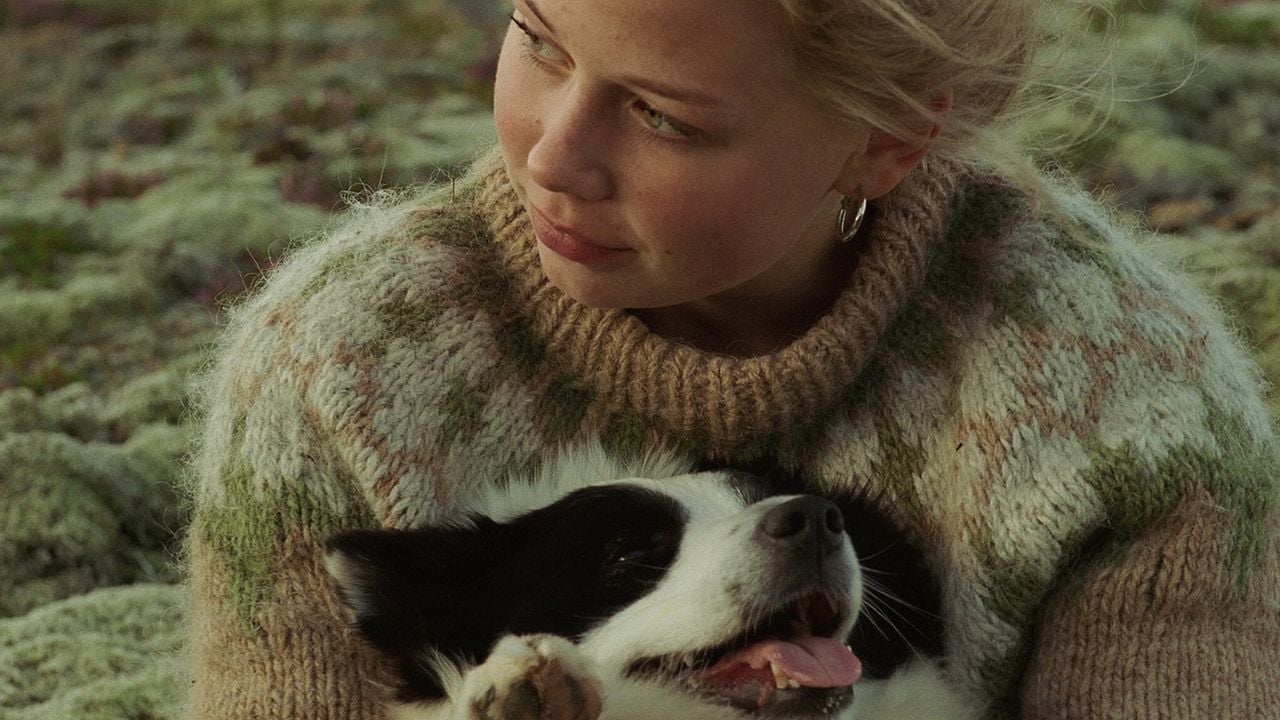 El amor que permanece : Foto