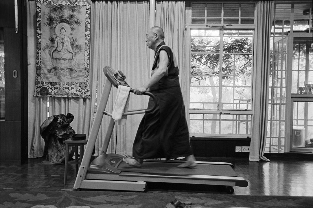 Sabiduría y felicidad : Foto