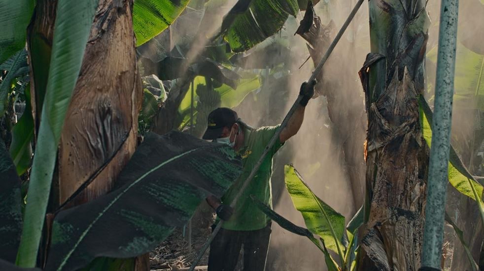 Los días que vivimos : Foto