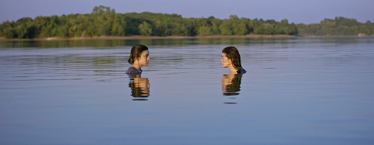 What Happened to the Wolf? : Foto